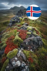 Carretera islandesa rodeada de musgo volcánico protegido por su frágil ecosistema.