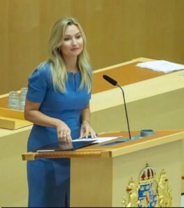 Suecia debate prohibir el burka y el niqab en espacios públicos