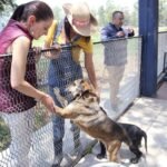 México eleva el bienestar animal a rango constitucional